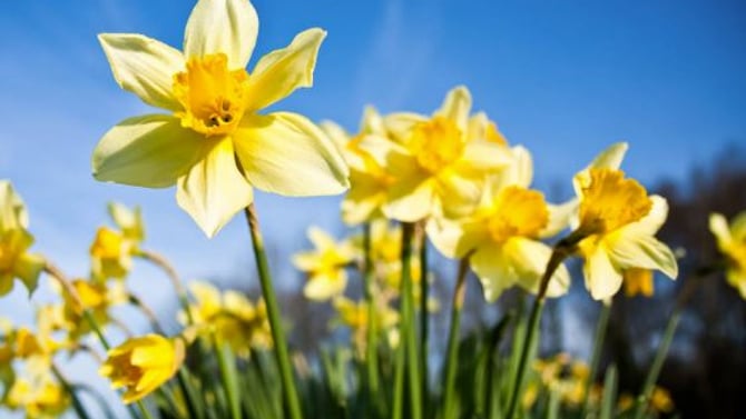 🏞️🌸Embrace the Beauty of Spring in the Pocono Mountains!